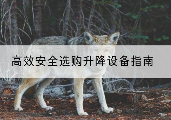 漳县升降货梯厂家推荐-*安全选购升降设备指南