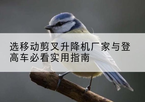 漳县电动升降机厂家-选移动剪叉升降机厂家与登高车必看实用指南