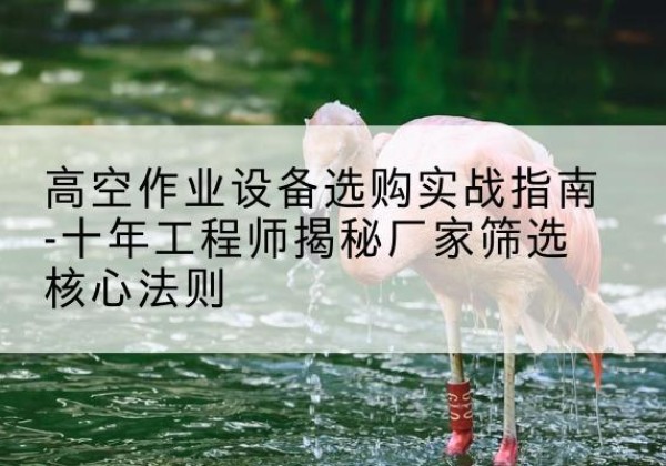 漳县剪叉式升降机厂家-高空作业设备选购实战指南-十年工程师揭秘厂家筛选核心法则